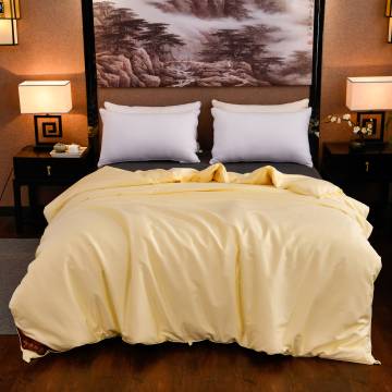 Soft Silk Quilt Perfect for Cold Winter Days
