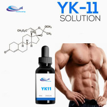 Sarm Myostatin Inhibitor Yk-11 for Athletes CAS 431579-34-9