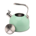 Light Green Whistling Kettle For Home