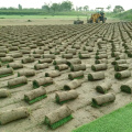 Plastic Grass Turf Mart Net