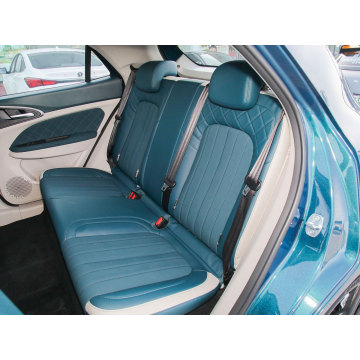 New energy small electric vehicle ora cat