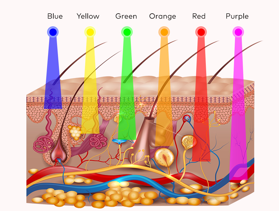 weight reduction treatment