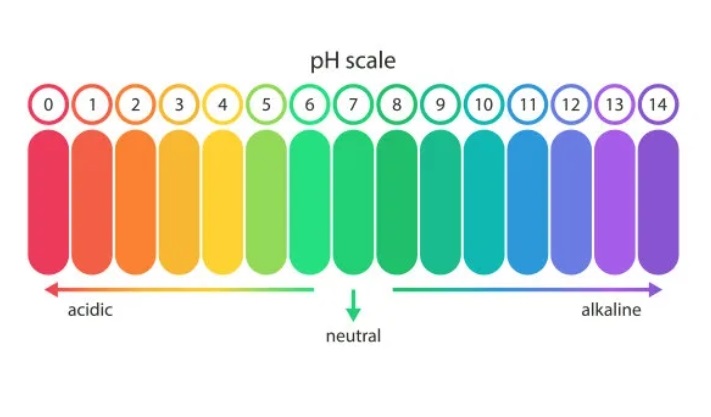 pH scale