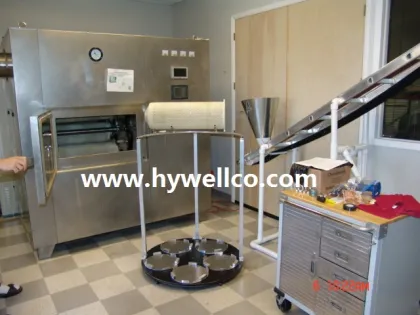 Plantain Banana Chips Processing Line