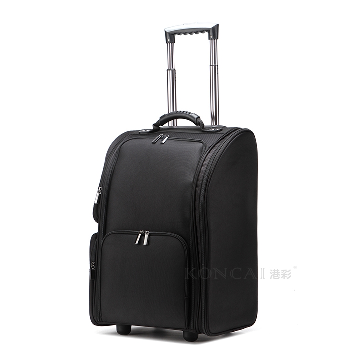 Professional Hard Beauty Case