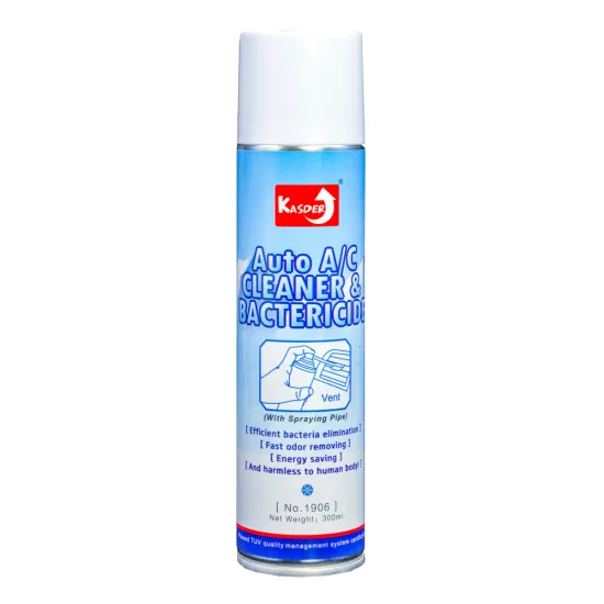 High-Quality Spray Foam Air Conditioner Cleaner with Bactericide and Deodorant for Cars