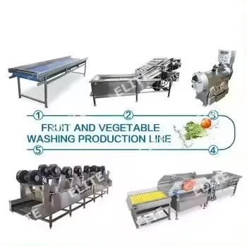 Customised Fruit and Vegetable Processing and Washing Lines