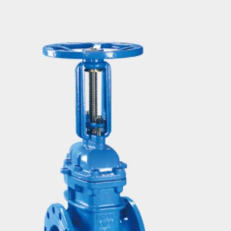 Rising Stem Elastic Seated Gate Valve