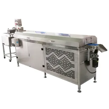 Professional Small Chocolate Coating Machine with Cooling Tunnel