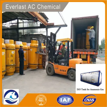 Everlast AC Chem Ammonia