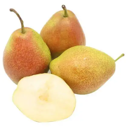 fresh su pears new crop