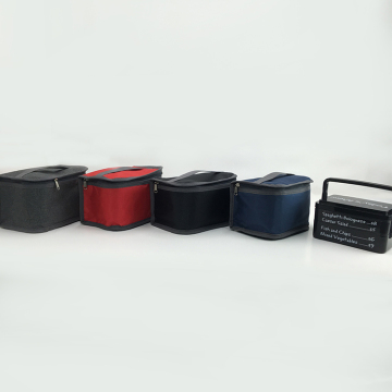 Custom Insulated Double 6 Pack Polyester Cooler Bag For Promotion