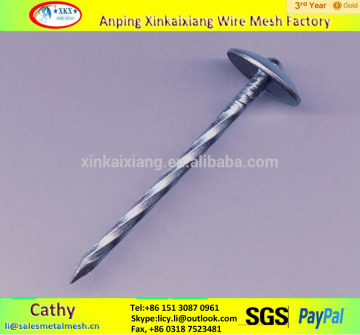 High quality polished umbrella roofing nails in China