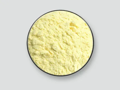 Best Price Dried Durian Fruit Powder