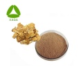 Atractylodes Rhizome Extract Powder 10:1