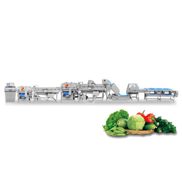 Solución de procesamiento de la línea de producción de ensaladas de espinacas de perejil