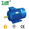 5HP Three Phase Electric Motor For Sale