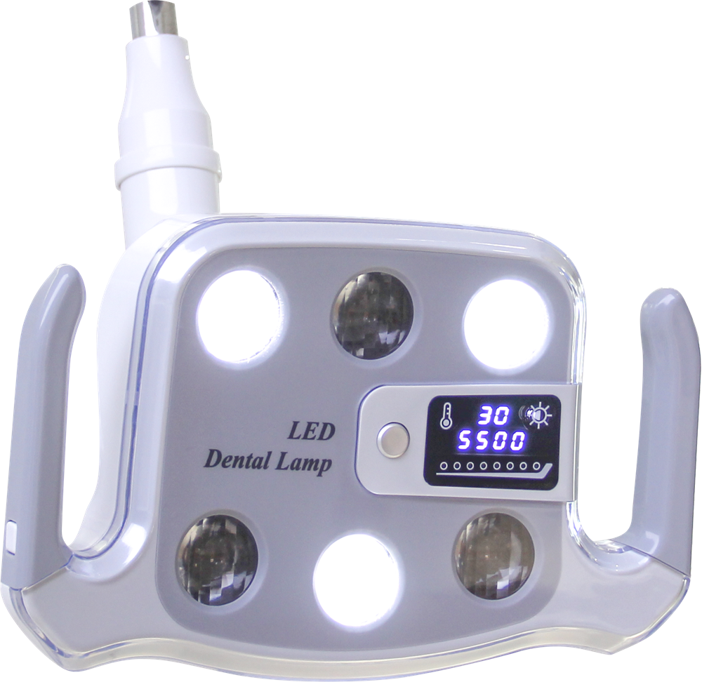 LED Dental Oral Light (6)