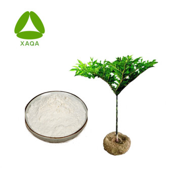 Matadditiv Konjac Extract Powder Konjac Gum Powder