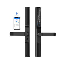 Broken Bridge Aluminum TTlock App Smart Fingerprint Lock
