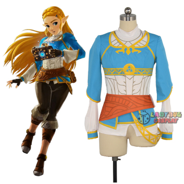 Breath of the Wild Zelda Costume