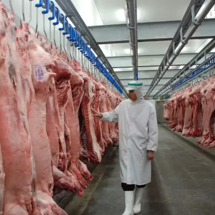 Large Cold Storage Room Logistics and Freezing Equipment for Storage