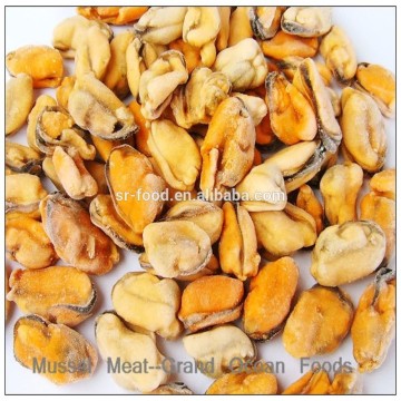 Frozen Boiled Mussel Meat