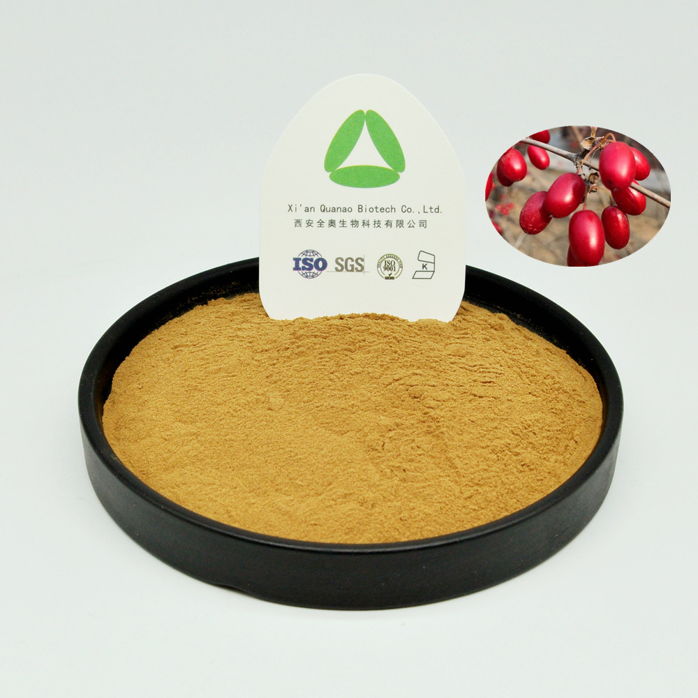 Dogwood Extract Powder Pure Natural Radix 10: 1 Orgânico