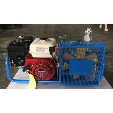 Gold Factory Supplier: Affordable Mini Scuba Diving Air Compressors - Portable Solution for Your Underwater Adventures
