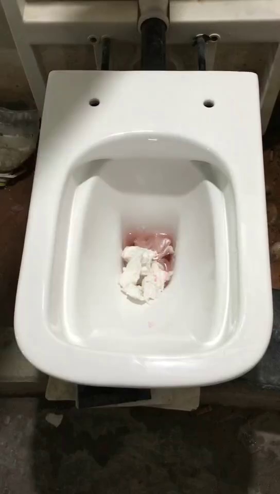 White Tank Wall Hung Toilet with Blue Basin