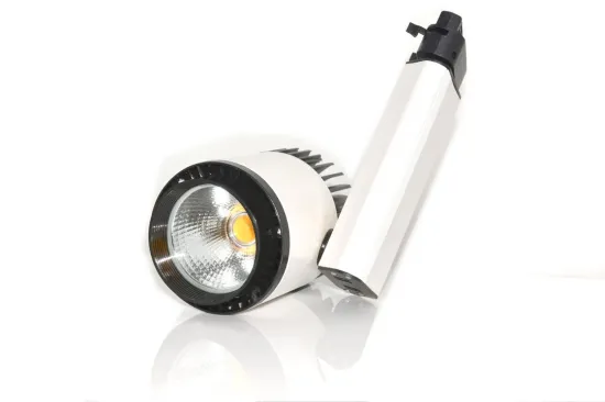 Waterproof Ip65 Cob Led Track Light 20w 65ra 1500lm For Shops
