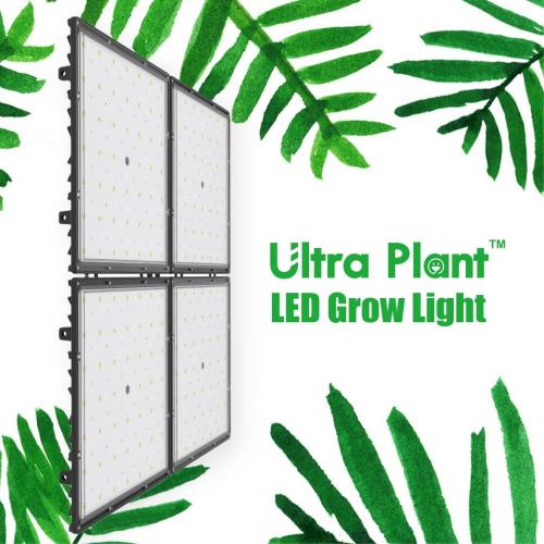 Far Red Spectrum Square LED Grow-lampor