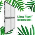 Far Red LED Grow Light Equipamento agrícola vertical