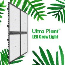 Far Red Spectrum Square LED Grow Lampen