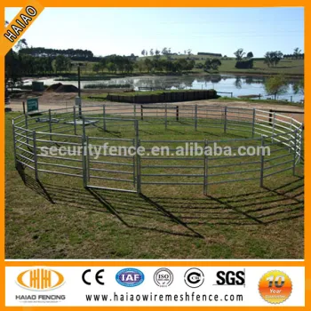 galvanized / pvc coated horse rail fence (factory price)