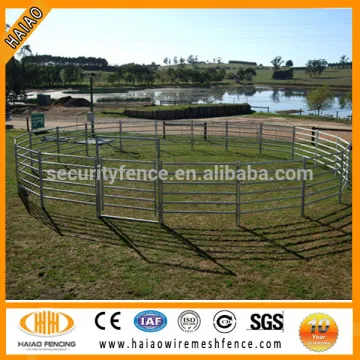 5-rail horse fence for sale (factory price)