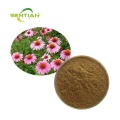 /msite/products/detail/productid/66569373/id/1521433.html