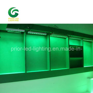 Wireless DMX Wall Washer Light