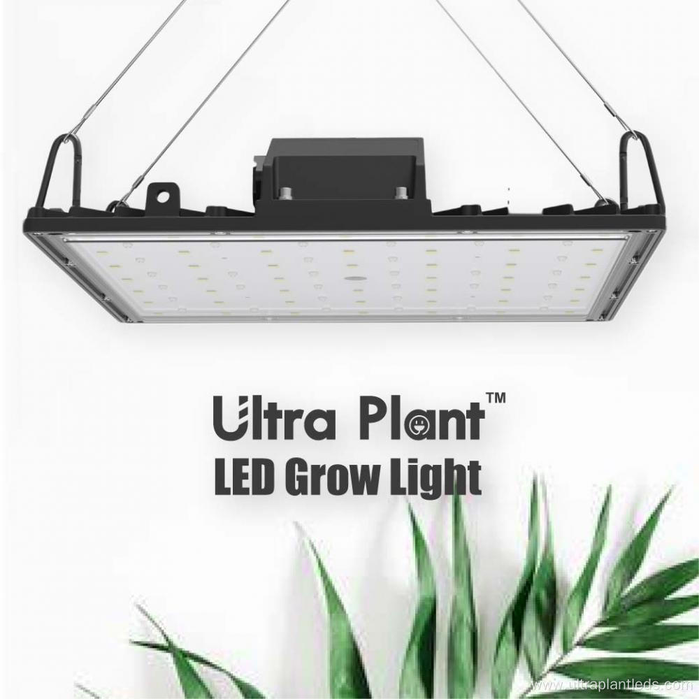 730nm Red Spectrum Dimmable Indoor LED Grow Light