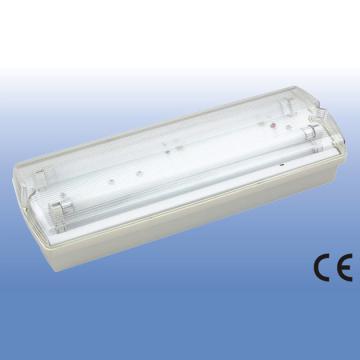 Intelligt Emergency Lighting