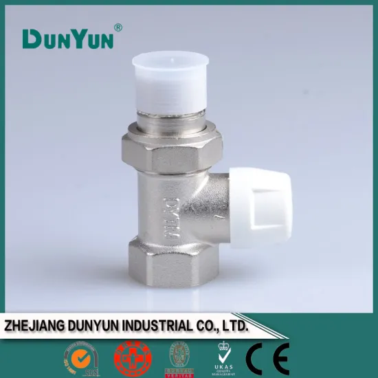 Factory sale brass lockable valve/male union & female