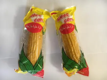 Fresh sweet fruit corn ready to eat