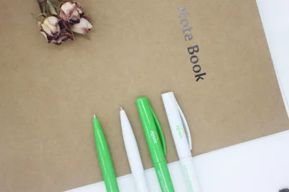 Intercontinental Hotel Promotion Pen: Premium Plastic Holiday Inn Hotel Pen for Advertising