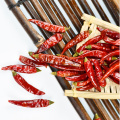 Dehydrated trockener rotes Schneidkreis Chili -Segmente