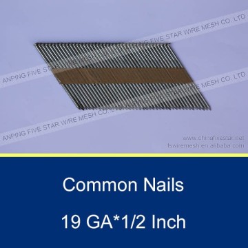 China ISO factory Common Nails/ wire nails/ roofing nails