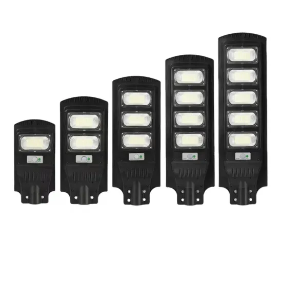 Street Light Solar Integrated with Human Body Induction: A Cutting-Edge Engineering Model for New Rural Outdoor Lighting at 6 Meters