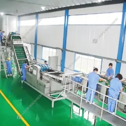 Automatic High Quality Grape Processing Line: Grape Juice Extracting Plant