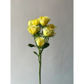 অ্যাভোকাডো স্প্রে গোলাপ কাট ফুল