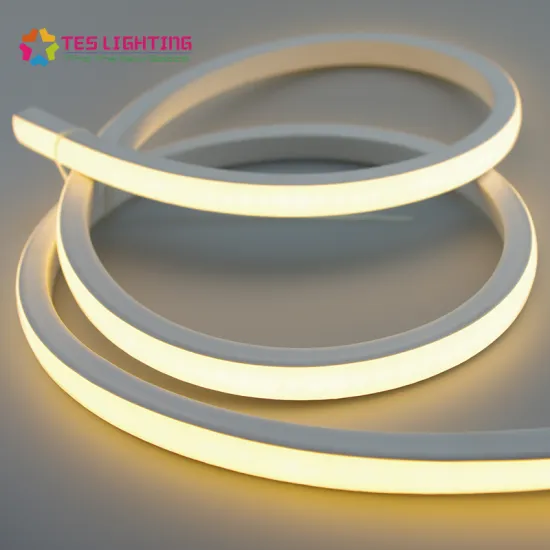 LED Neon Light 24V Waterproof IP68