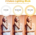 Hot 10 นิ้ว Dimmable Remote Control Selfie Photogrape Ring Light พร้อมขาตั้งขาตั้งกล้องสำหรับแต่งหน้า Tiktok และสตรีมสด